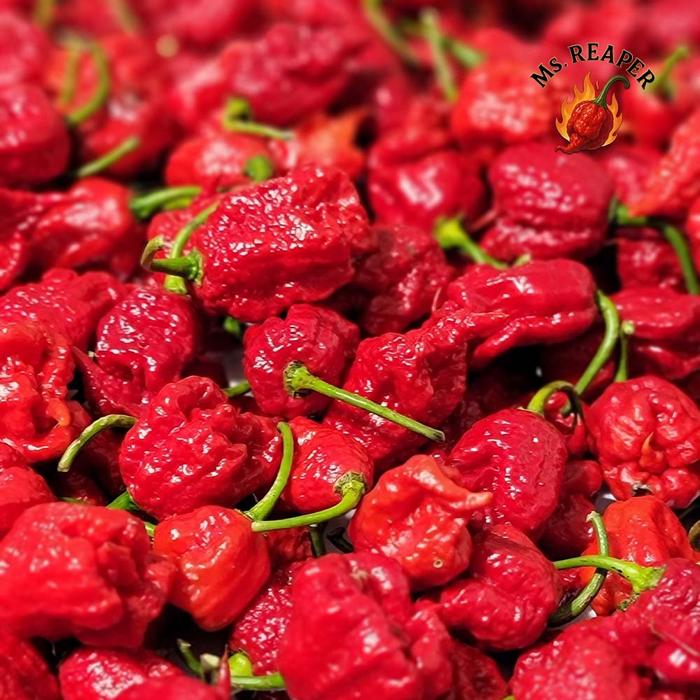 Fresh Red Carolina Reaper Peppers🔥 – (50 Pods) - Image 12