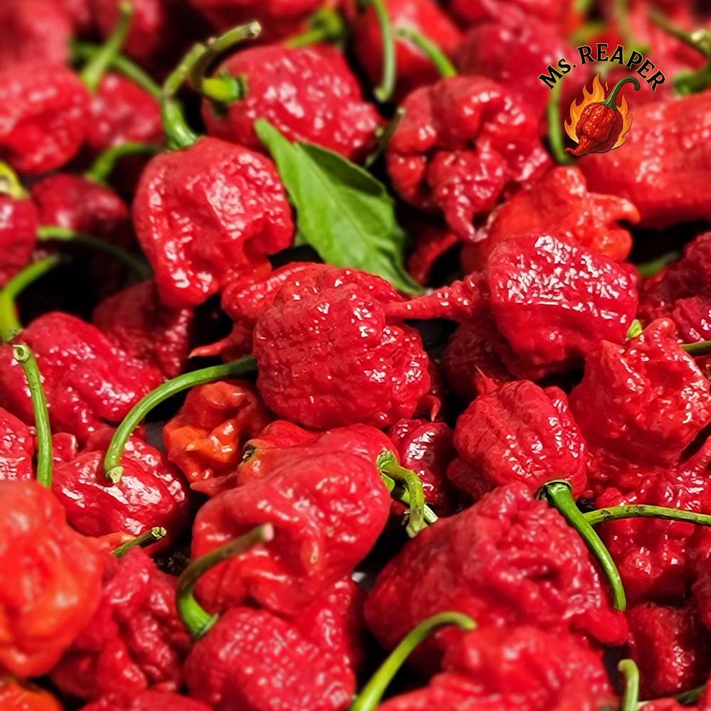 Fresh Red Carolina Reaper Peppers🔥 – (50 Pods) - Image 4