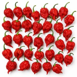 Fresh Red Carolina Reaper Peppers🔥 – (30 Pods)