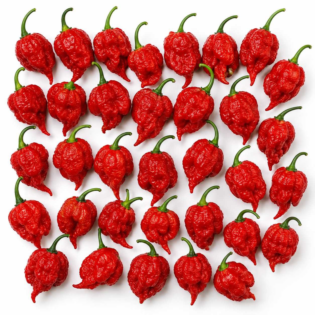Fresh Red Carolina Reaper Peppers🔥 – (30 Pods)