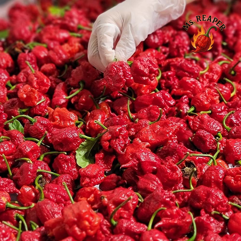 Fresh Red Carolina Reaper Peppers🔥 – (50 Pods) - Image 8